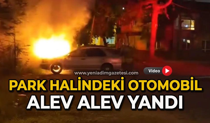 Park halindeki otomobil alev alev yandı