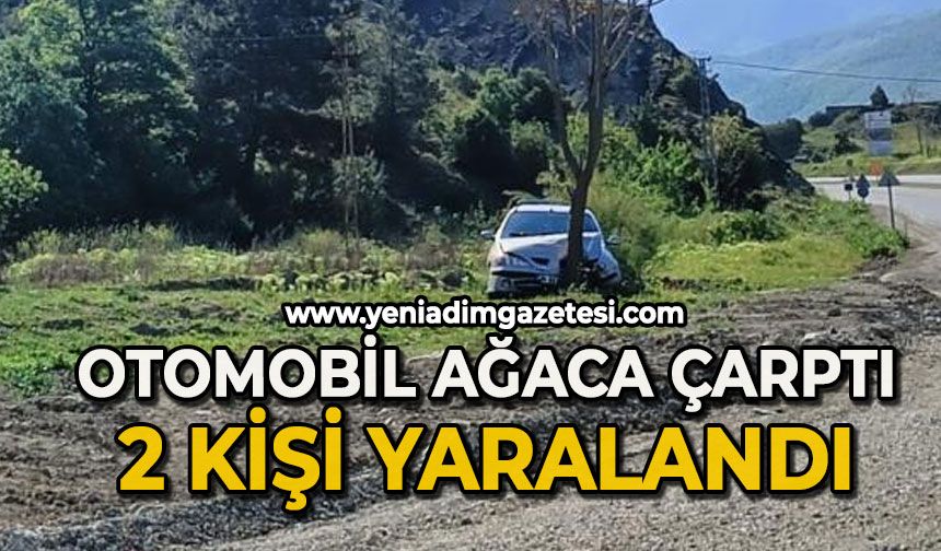 Otomobil ağaca çarptı: 2 yaralı