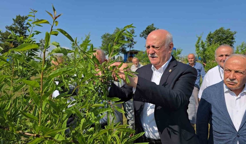 TZOB Genel Başkanı Bayraktar, zirai dondan etkilenen tarlaları inceledi