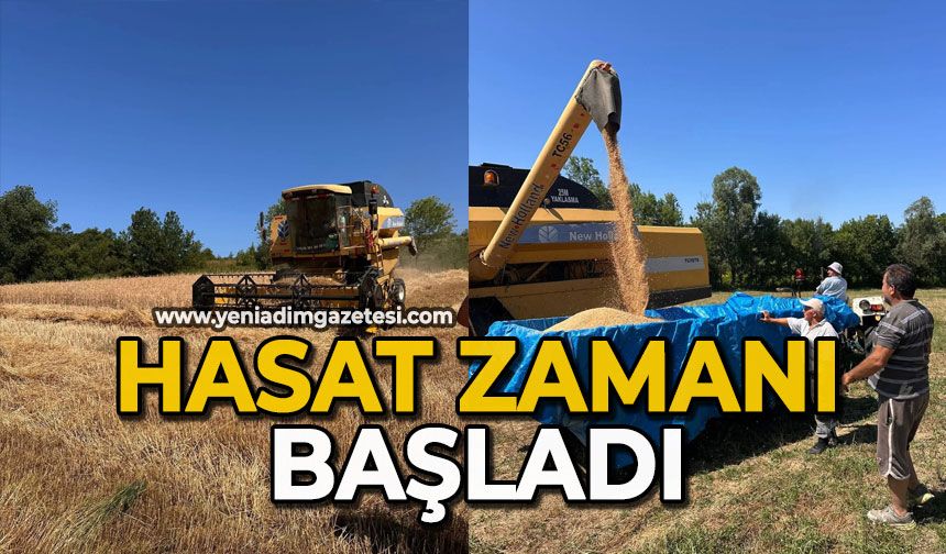 Hasat zamanı başladı