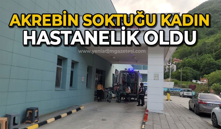 Akrebin soktuğu kadın hastanelik oldu