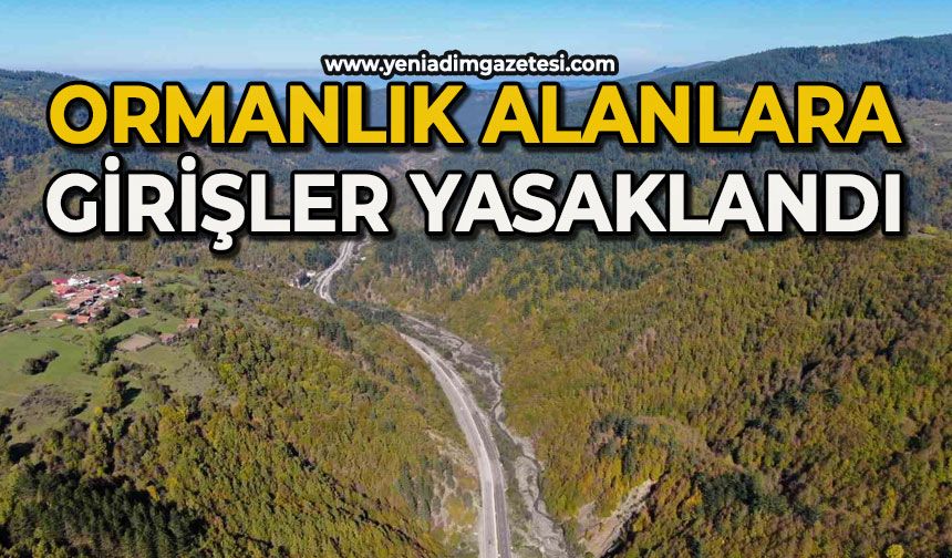 Ormanlık alanlara girmek yasaklandı