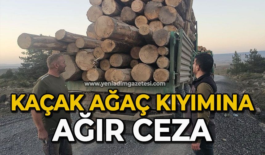 Kaçak ağaç kıyımına ağır ceza