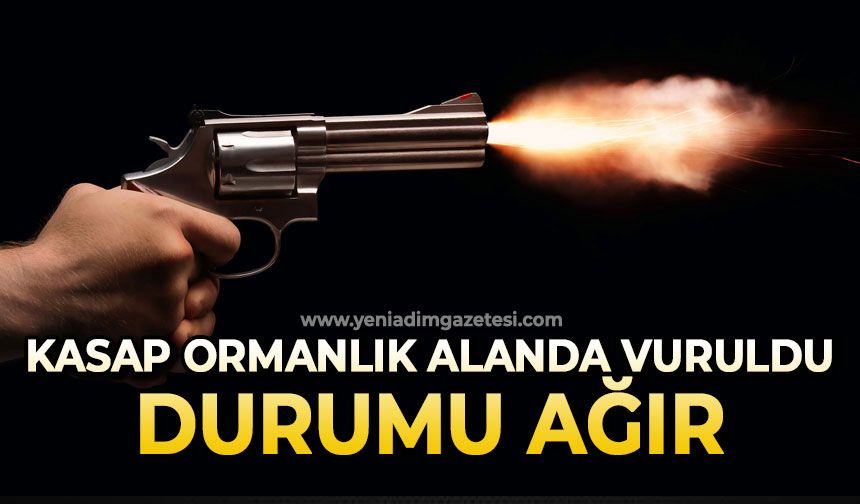 Kasap ormanlık alanda vuruldu: Durumu ağır