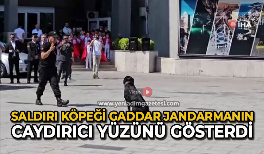Saldırı köpeği Gaddar, jandarmanın caydırıcı yüzünü gösterdi