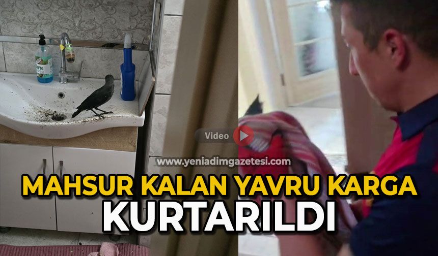 Mahsur kalan yavru karga kurtarıldı