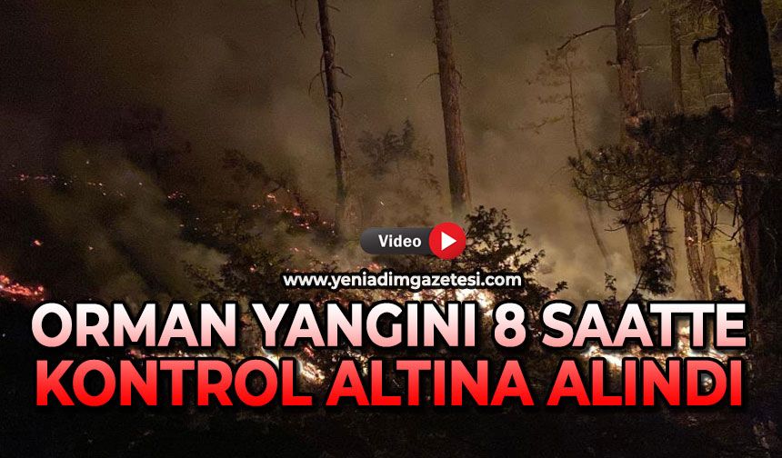 Orman yangını 8 saatte kontrol altına alındı