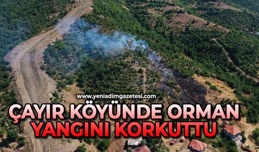 Çayır köyünde orman yangını korkuttu