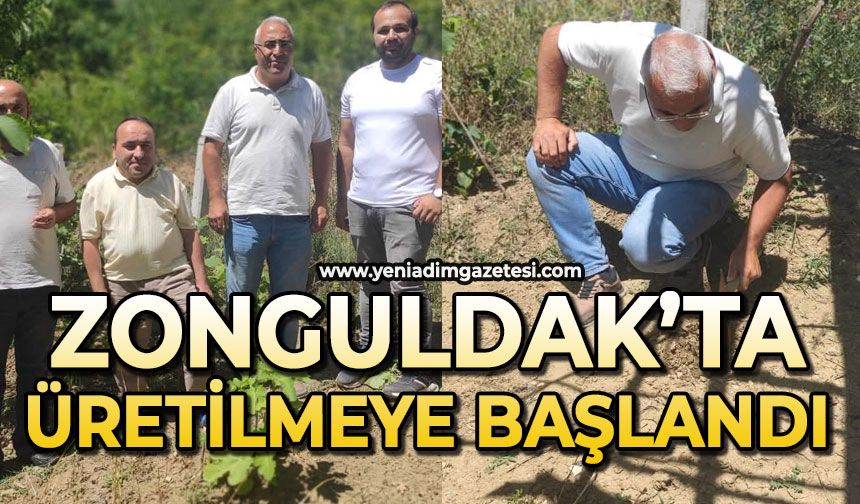 Zonguldak'ta üretilmeye başlandı