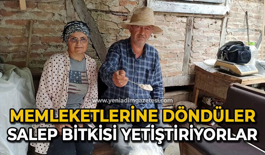 Memleketlerine döndüler: Salep bitkisi yetiştiriyorlar