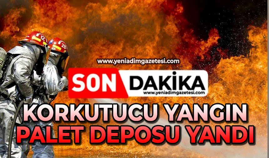 Korkutucu yangın: Palet deposu yandı