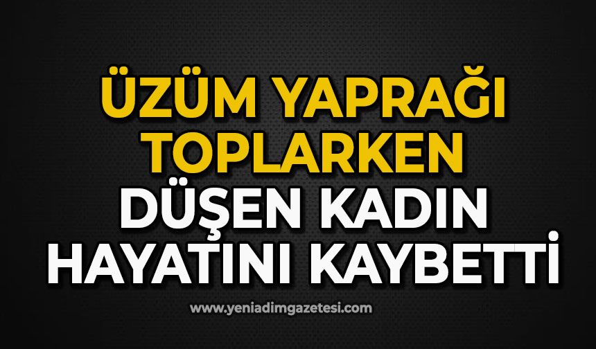 Üzüm yaprağı toplarken düşen kadın hayatını kaybetti
