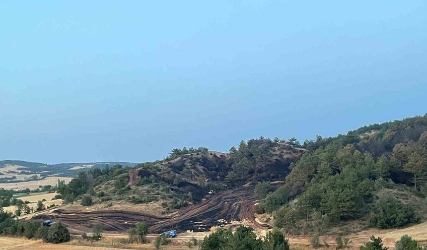 Bolu’daki orman yangını kontrol altına alındı