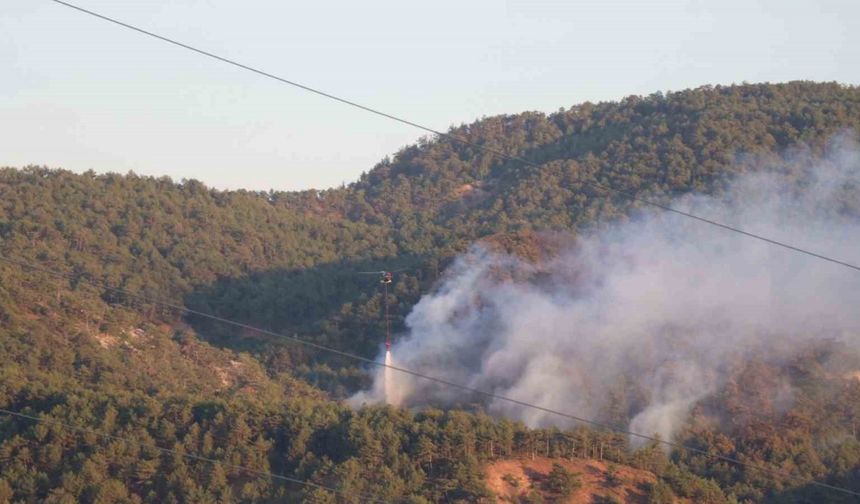 Orman yangınına havadan ve karadan müdahale sürüyor