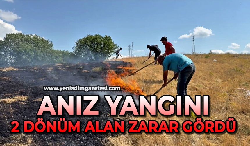 Anız yangını: 2 dönüm alan zarar gördü