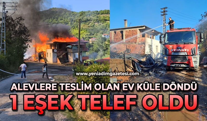 Alevlere teslim olan ev küle döndü: 1 eşek telef oldu