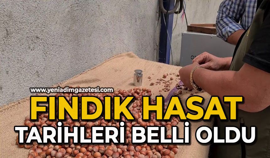 Fındık hasat tarihleri belli oldu