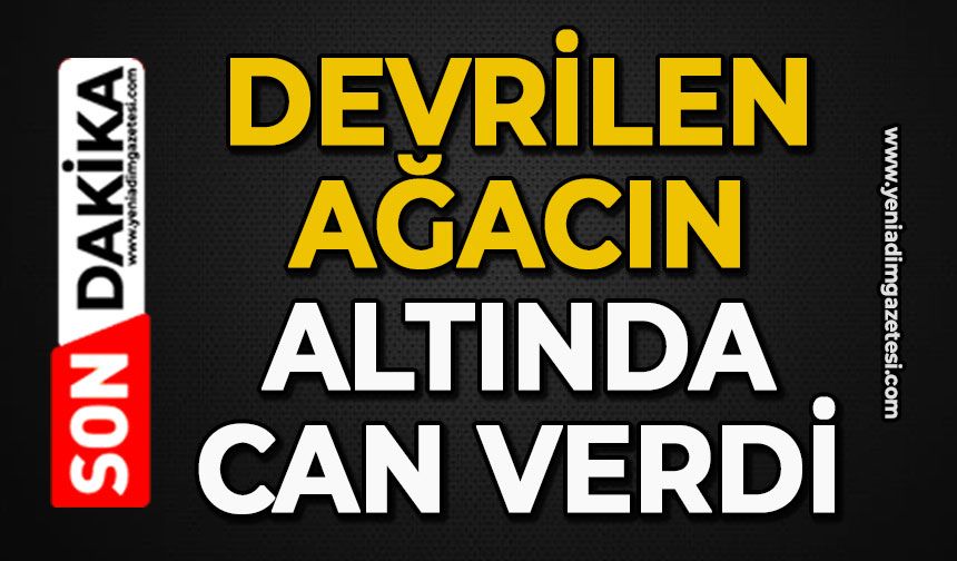 Devrilen ağacın altında can verdi