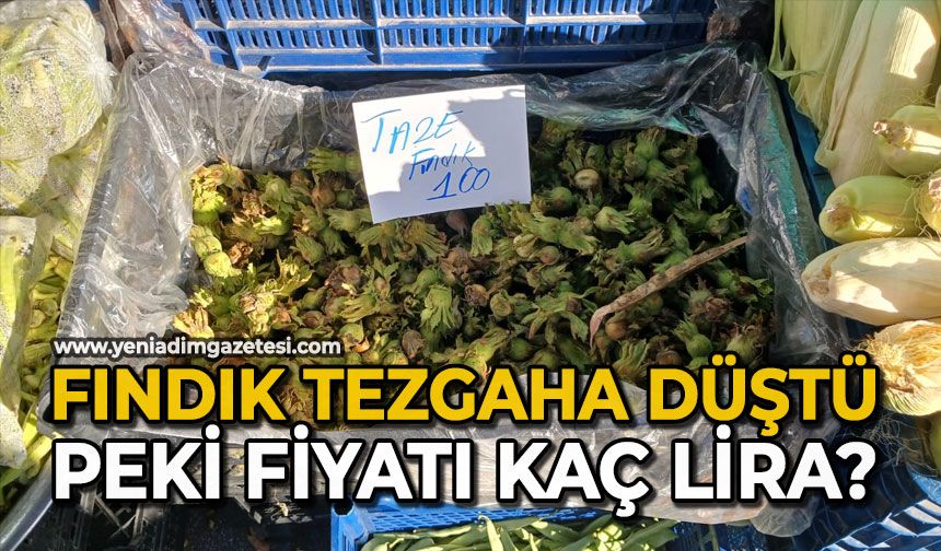 Fındık tezgaha düştü: Peki, fiyatı kaç lira?