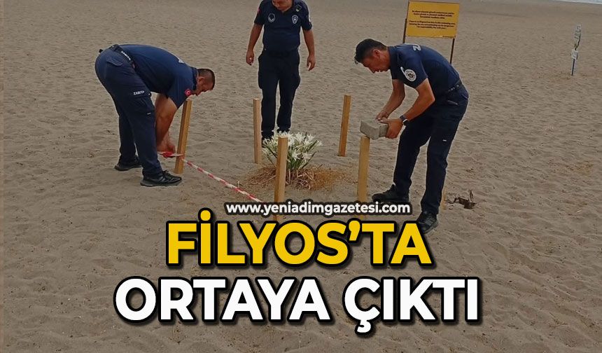 Filyos’ta ortaya çıktı
