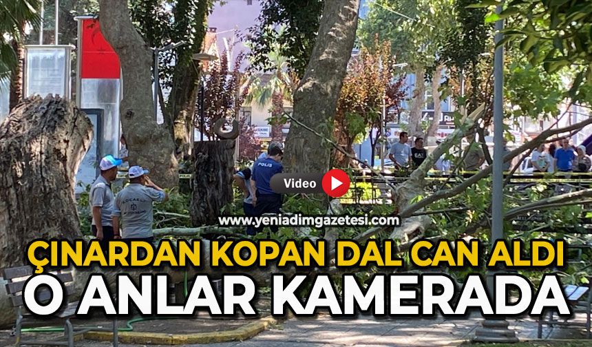 Çınardan kopan dal can aldı: O anlar kamerada