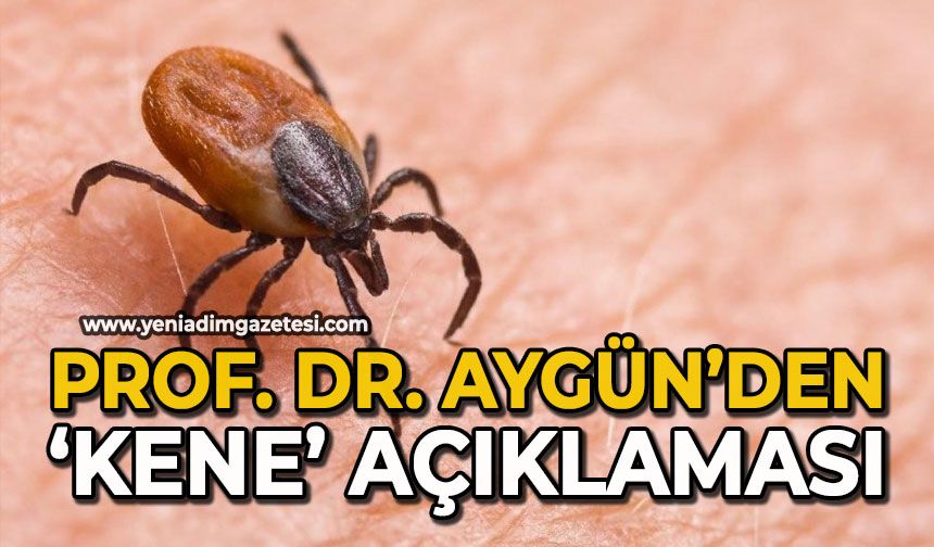 Prof. Dr. Aygün’den ‘kene’ açıklaması