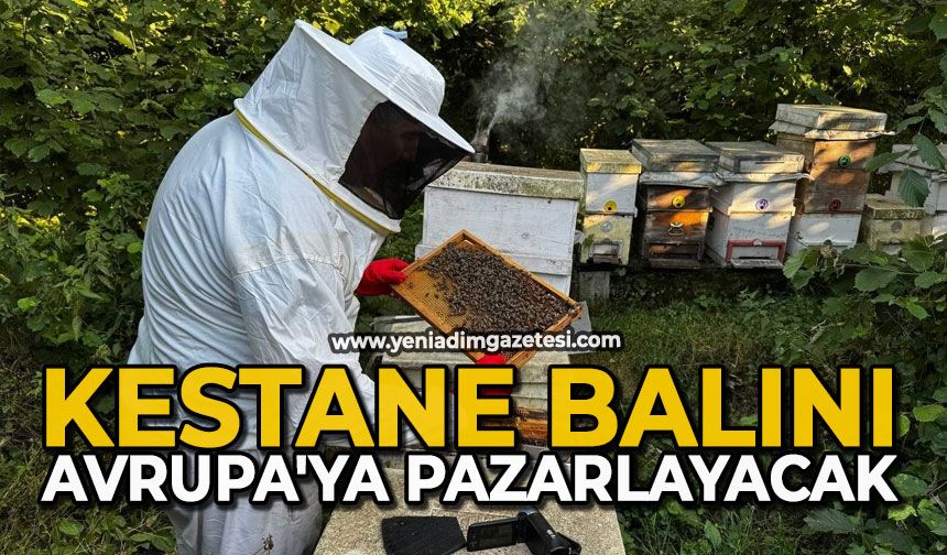 Kestane balını Avrupa'ya pazarlayacak