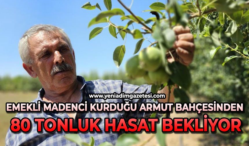 Emekli madenci kurduğu armut bahçesinden 80 tonluk hasat bekliyor