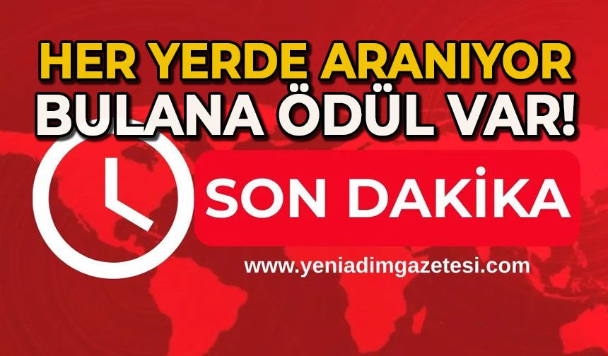 Her yerde aranıyor: Bulana ödül var!