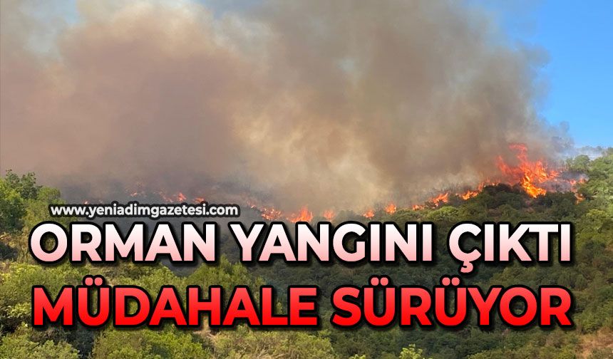 Orman yangını çıktı: Müdahale sürüyor