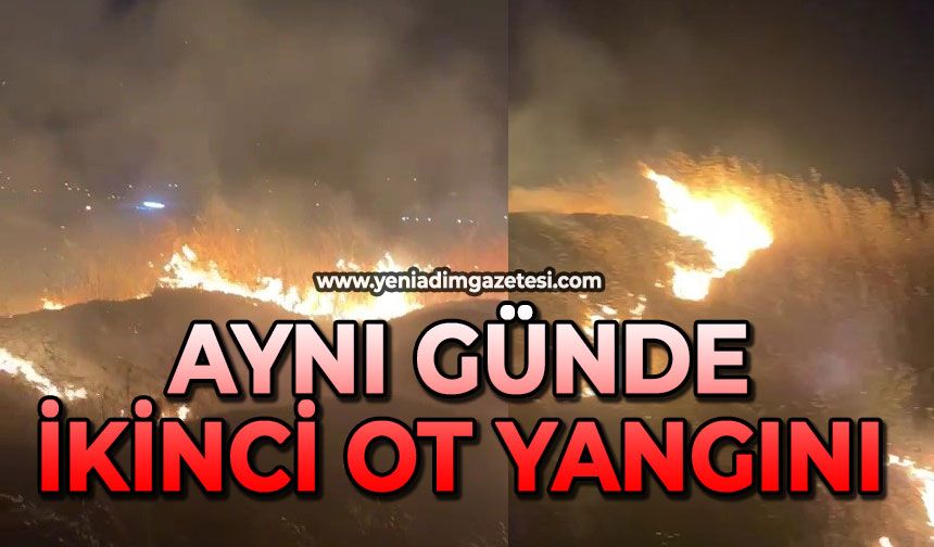 Aynı günde ikinci ot yangını