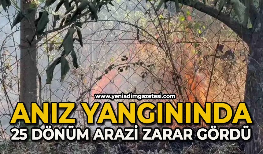 Anız yangınında 25 dönüm alan zarar gördü