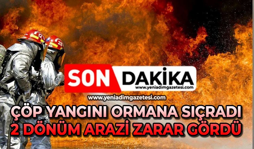 Çöp yangını ormana sıçradı, 2 dönüm arazi zarar gördü