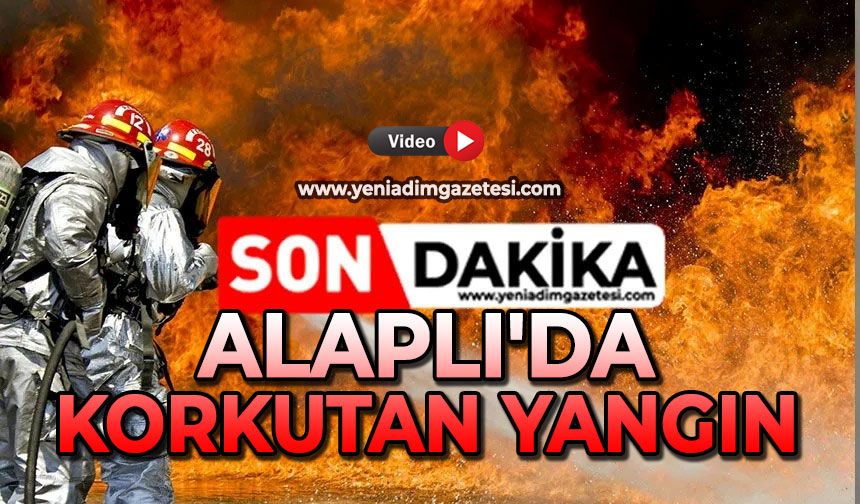 Alaplı'da korkutan yangın