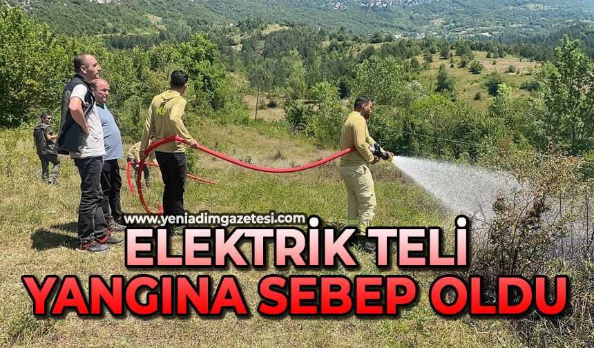 Elektrik teli yangına sebep oldu