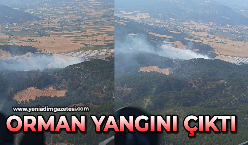 Orman yangını çıktı