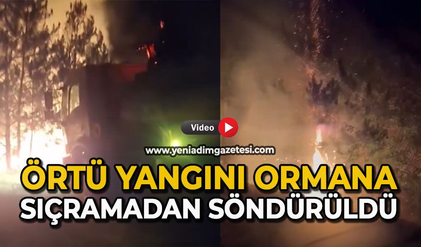 Örtü yangını ormana sıçramadan söndürüldü