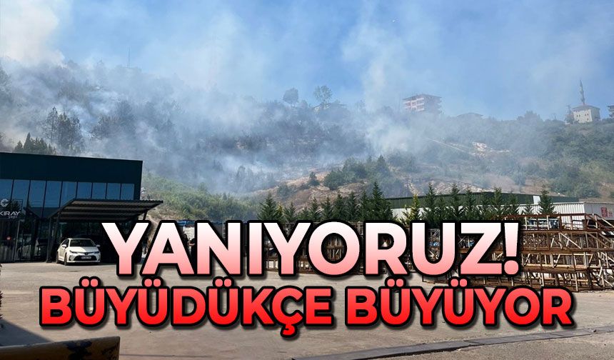 Yanıyoruz! Büyüdükçe büyüyor
