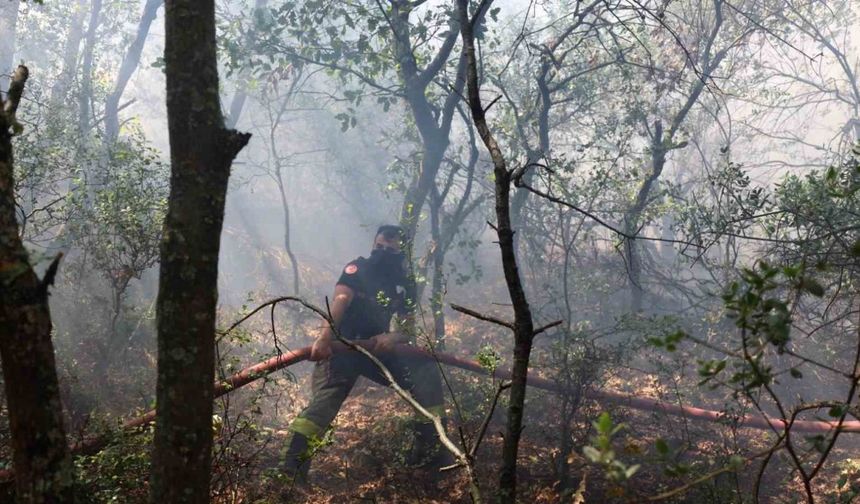 Karamürsel yangını için seferberlik ilan edildi