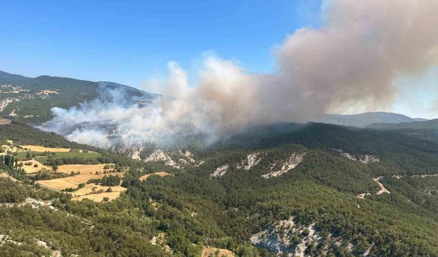 Orman yangınına müdahale sürüyor