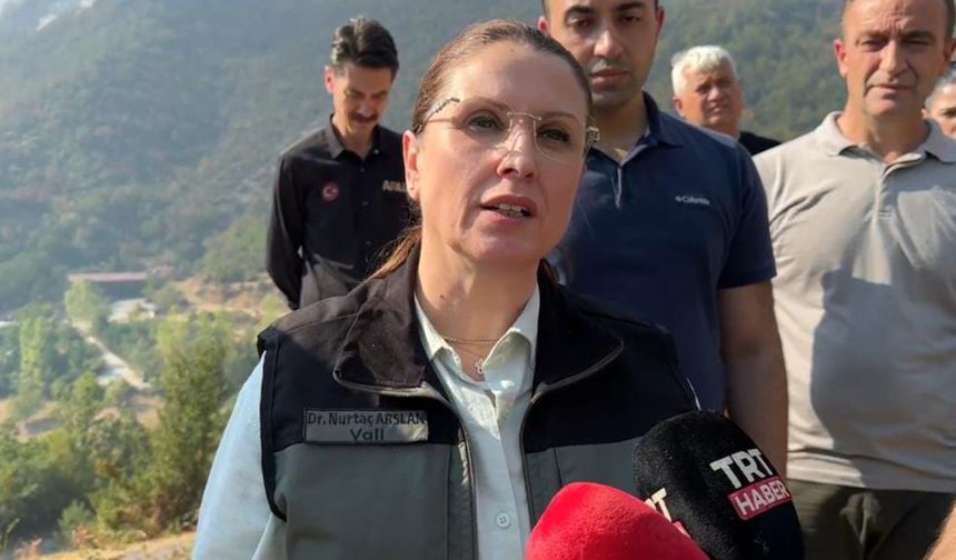 Vali Arslan’dan yangına ilişkin açıklama