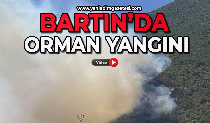 Bartın'da orman yangını çıktı