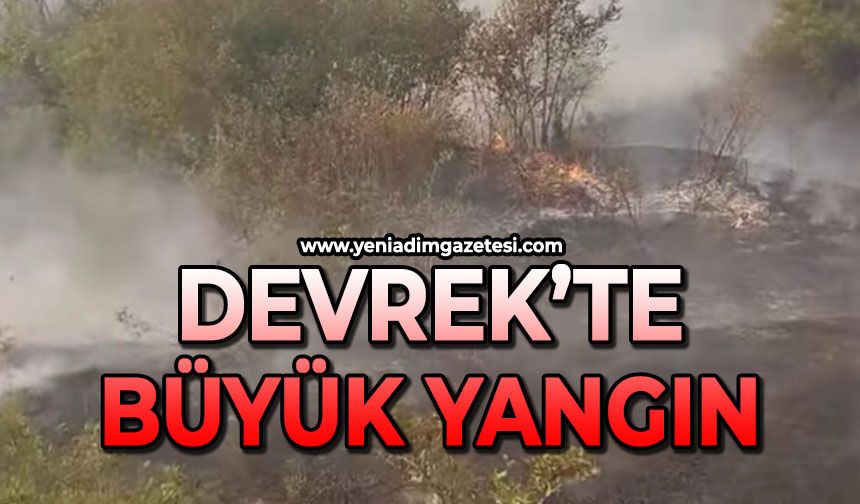 Devrek'te büyük yangın çıktı
