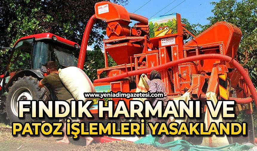 Fındık harmanı ve patoz işlemleri yasaklandı