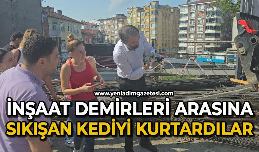 İnşaat demirlerinin altına sıkışan kediyi kurtarmak için zamanla yarıştılar