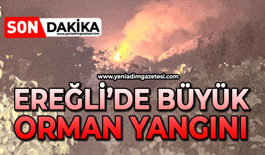 Ereğli'de büyük orman yangını: Ekipler bölgeye sevk edildi