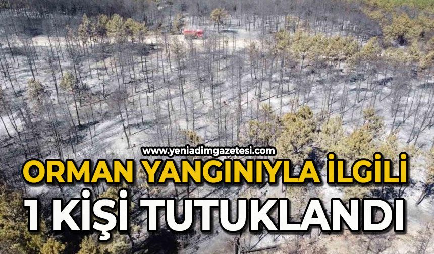 Orman yangınında 1 kişi tutuklandı