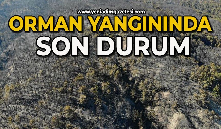 Orman yangını büyük ölçüde kontrol altına alındı