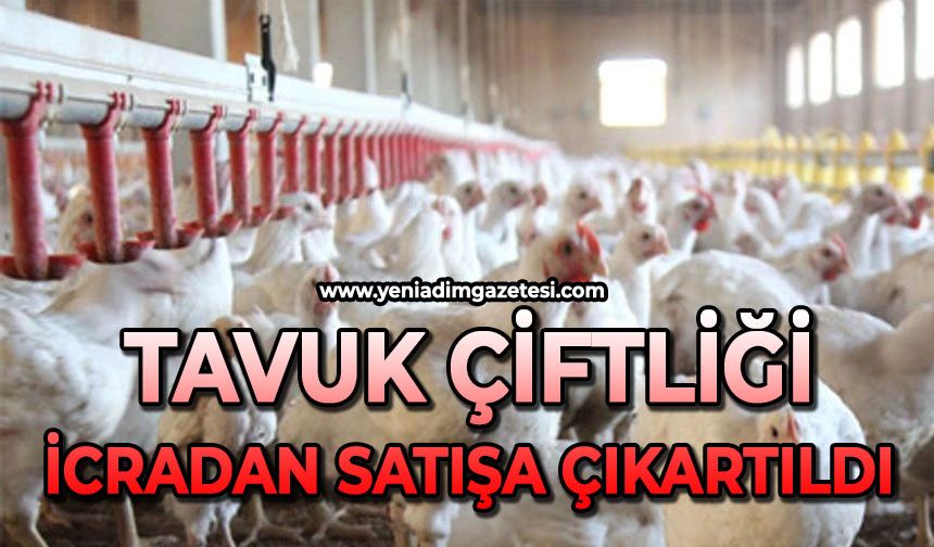 Tavuk çiftliği icradan satışa çıkartıldı