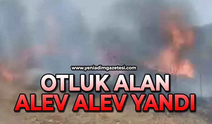 Otluk alan alev alev yandı
